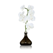 Telpu aromāts SENTI BERGAMOTand GINGER The Orchid