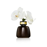 Telpu aromāts SENTI THE LITTLE ORCHID  Amber & Oud