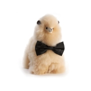 Rotaļlieta WEICH COUTURE ALPACA PACO Champagne, 20x15cm