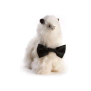 Rotaļlieta WEICH COUTURE ALPACA PACO Pearl White, 20x15cm