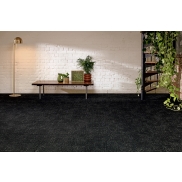 Paklājs MILLIKEN TRACING LANDSCAPES FIELD STUDY Compass Point 33 dB