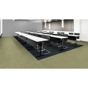 Paklajs MILLIKEN TRACING LANDSCAPES FIELD STUDY Curious Forest 33 dB