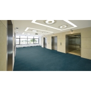 Paklājs MILLIKEN TRACING LANDSCAPES FIELD STUDY Hillside 33 dB