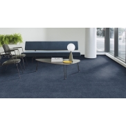 Paklājs MILLIKEN TRACING LANDSCAPES FIELD STUDY Rucksack 33 dB