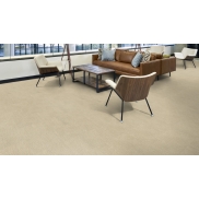 Paklājs MILLIKEN TRACING LANDSCAPES FIELD STUDY Rugged Quarry 33 dB