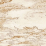 Tapetes ROBERTO CAVALLI HOME ROBERTO CAVALLI 9