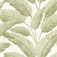 Tapetes CASELIO BORNEO TROPICALIA Amande