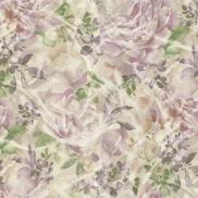 Tapetes BLUMARINE BLUMARINE 5