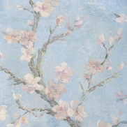 Tapetes 360DIGITAL EVOLUTION 360  Non Woven