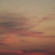 Tapetes TRUSSARDI TRUSSARDI 8