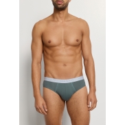 Apakšbikses HANRO COTTON ESSENTIALS Set of 2, briefs  S