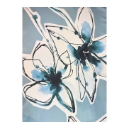 Šalle BARBIERI Rudens/Ziema 2026 52x190