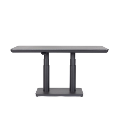 Galds ANDREA BIZZOTTO MIGUEL ANTR JX55