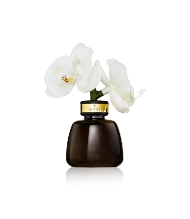 Telpu aromāts SENTI THE LITTLE ORCHID FIG
