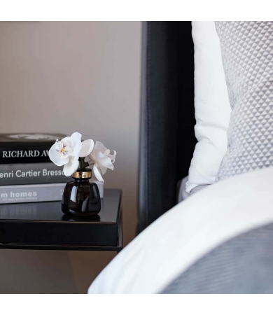 Telpu aromāts SENTI THE LITTLE ORCHID FIG