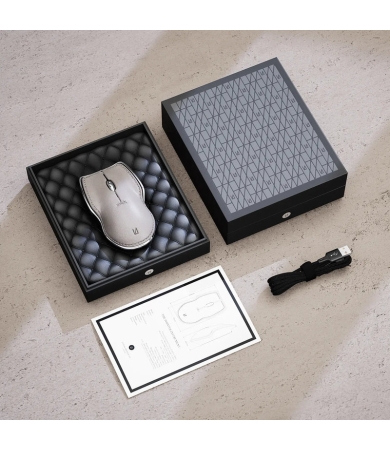 Bezvadu datorpele LUNAR ARTEFACTS POINTER INSTRUMENT  Lunar Pebble