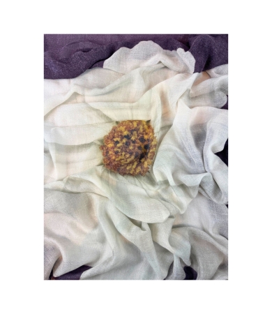 Lakats BARBIERI Rudens/Ziema 2026 135x135