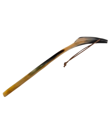 Apavu lāpstiņa PASOTTI TUTTO CORNO