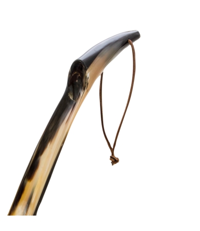 Apavu lāpstiņa PASOTTI TUTTO CORNO